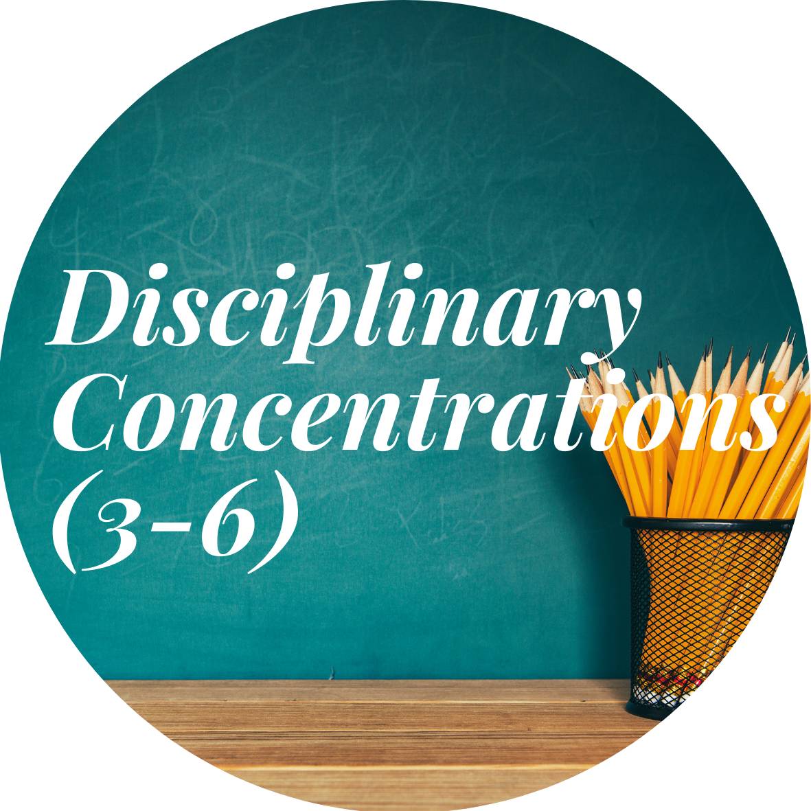 Disciplinary Concentrations (3-6)